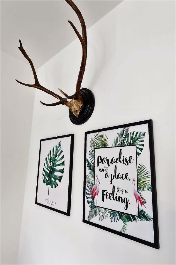 Apartmenty Boho *